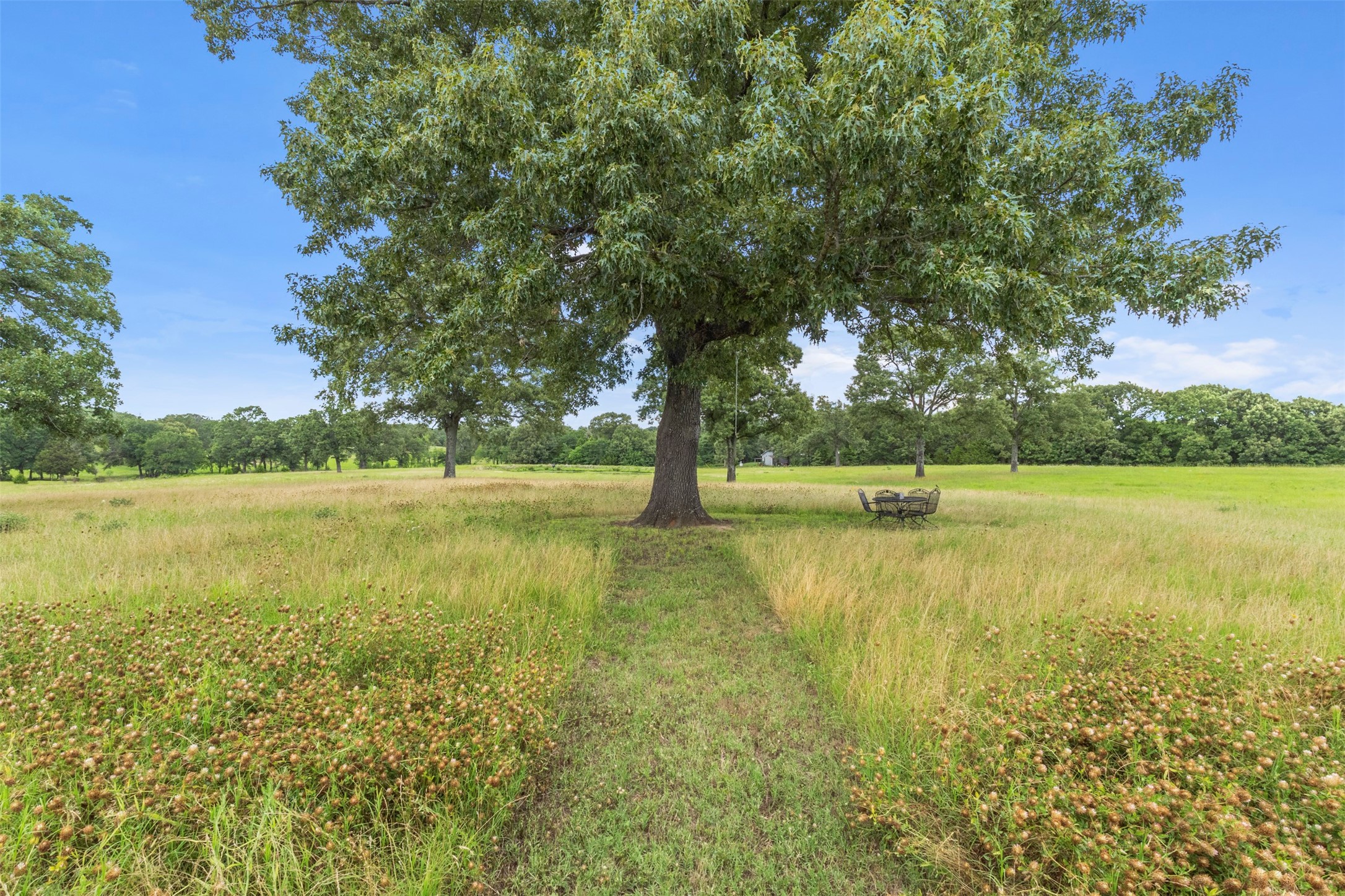 2408 Vz County Road 3104 Edgewood TX 75117