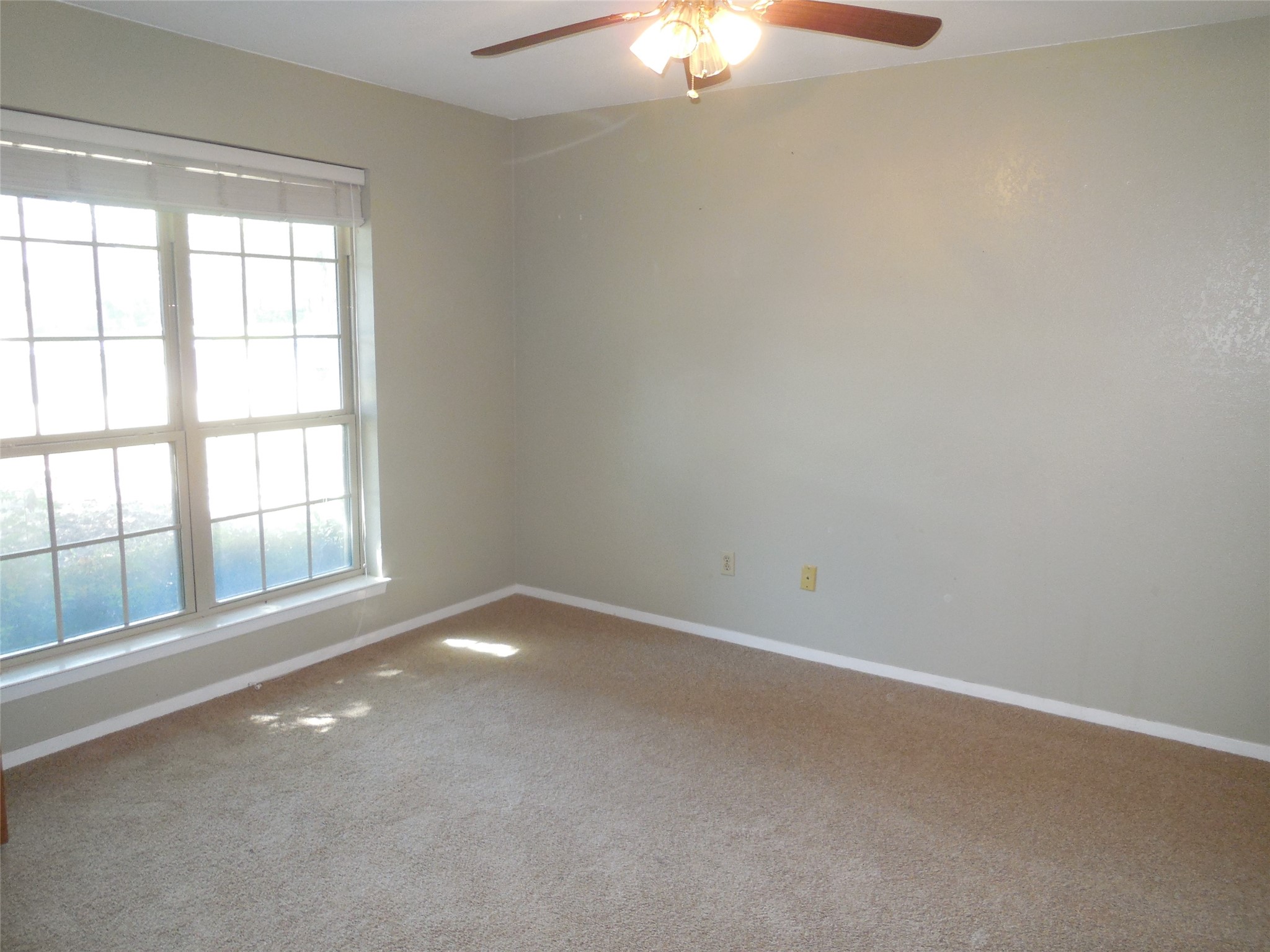 105 Mustang Drive Graham TX 76450