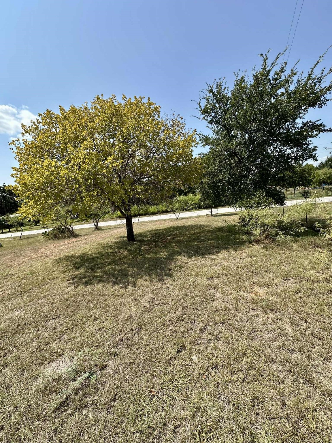 366 Saint Kitts Road Comanche TX 76442