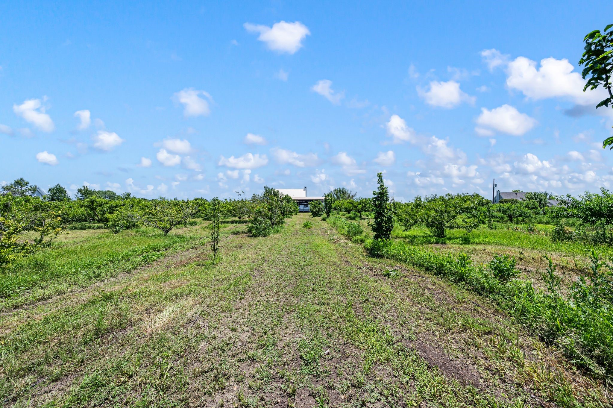 266 Old Chisholm Trail Rhome TX 76078