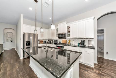 1116 Quail Dove Drive Little Elm TX 75068