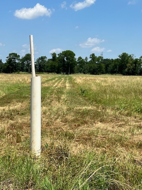 300 County Road 1118 Brashear TX 75420