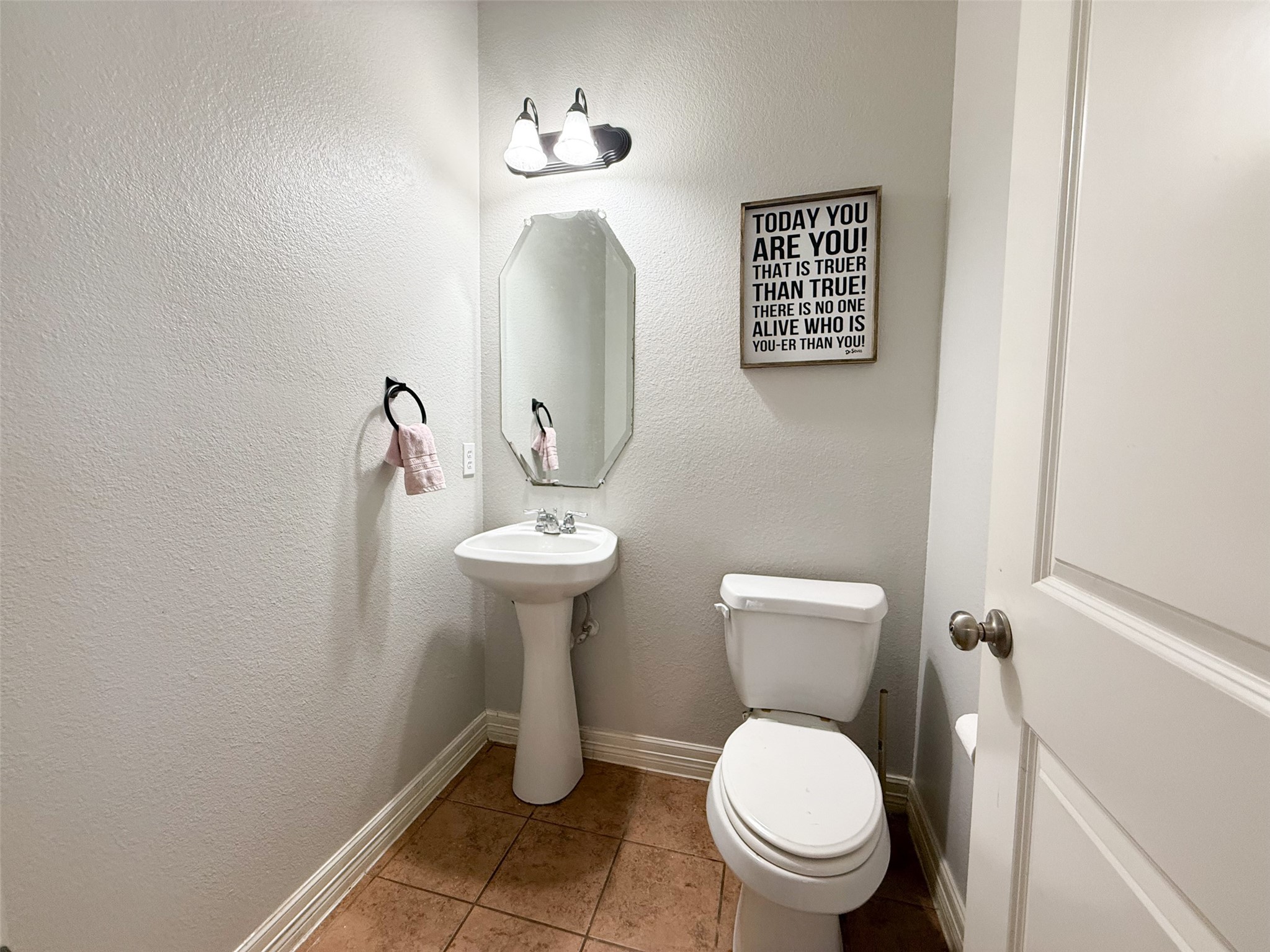 1817 Shoebill Drive Little Elm TX 75068