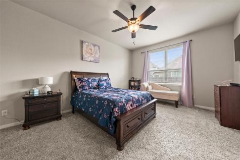 11217 Pallasite Court Waco TX 76655