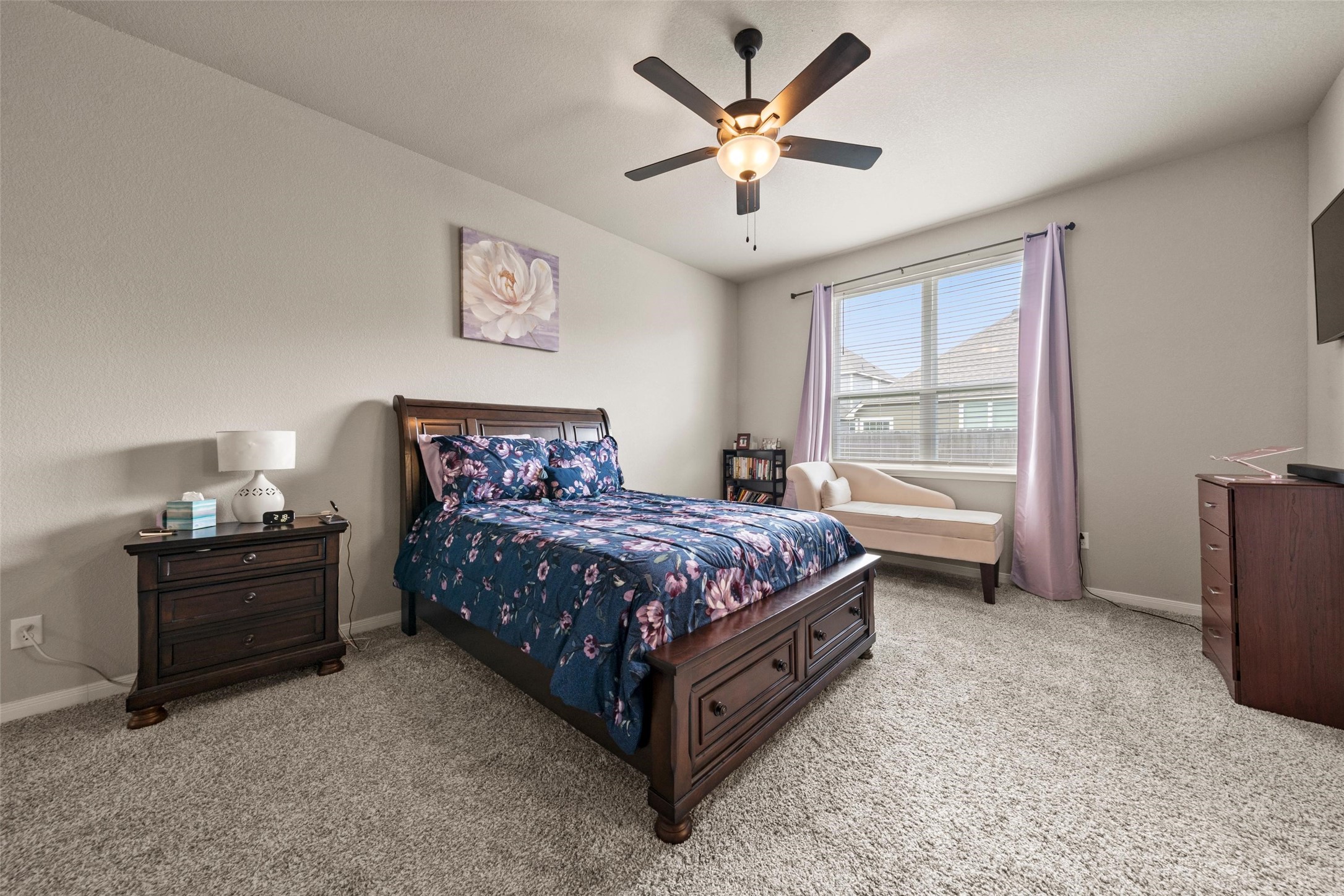 11217 Pallasite Court Waco TX 76655