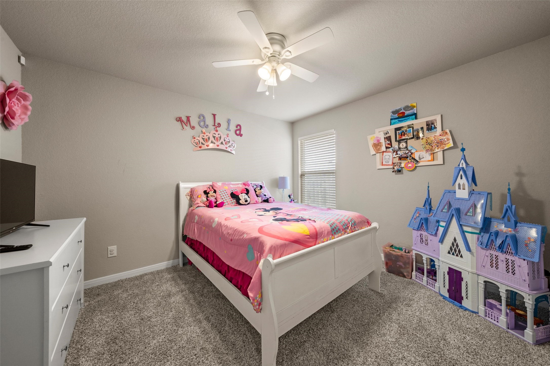 11217 Pallasite Court Waco TX 76655