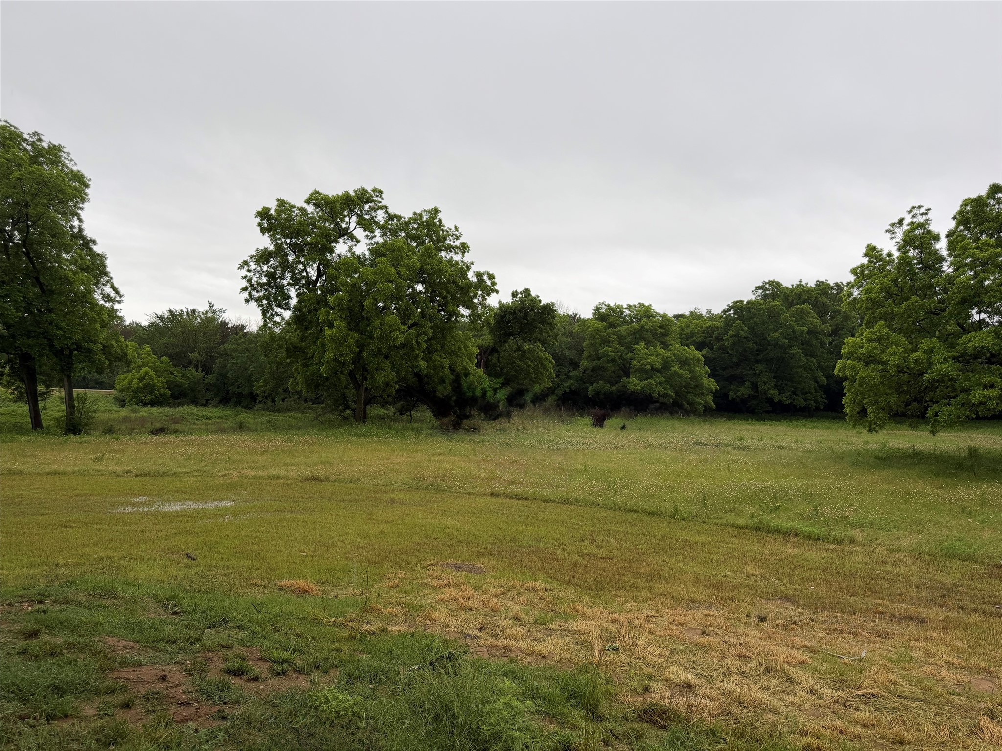2191 Business Highway 377 Whitesboro TX 76273