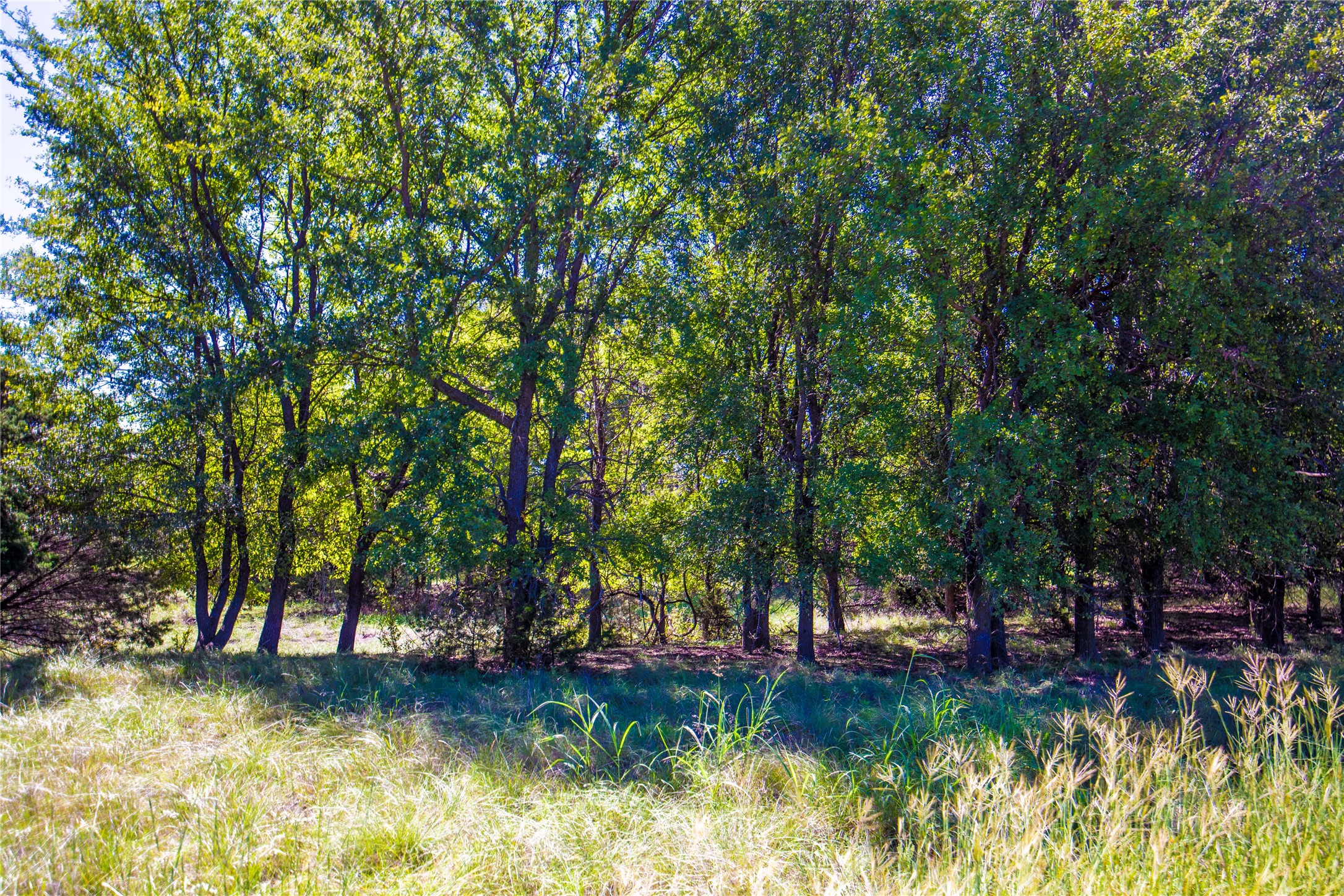 269 Private Road 2362 Meridian TX 76665
