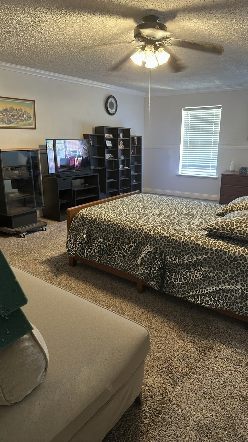 602 W Karnes Robinson TX 76706