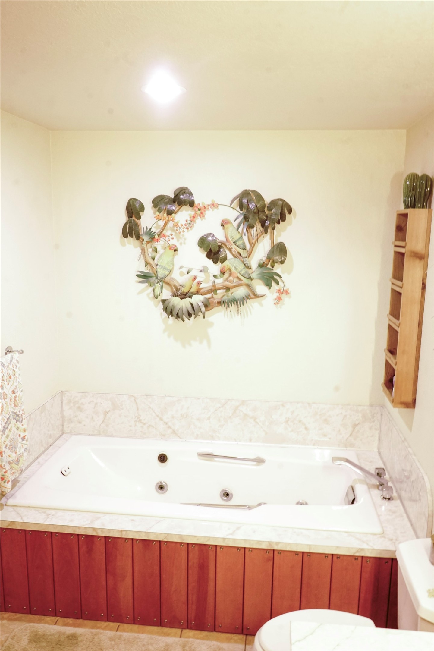 110 County Road 685 Tuscola TX 79562
