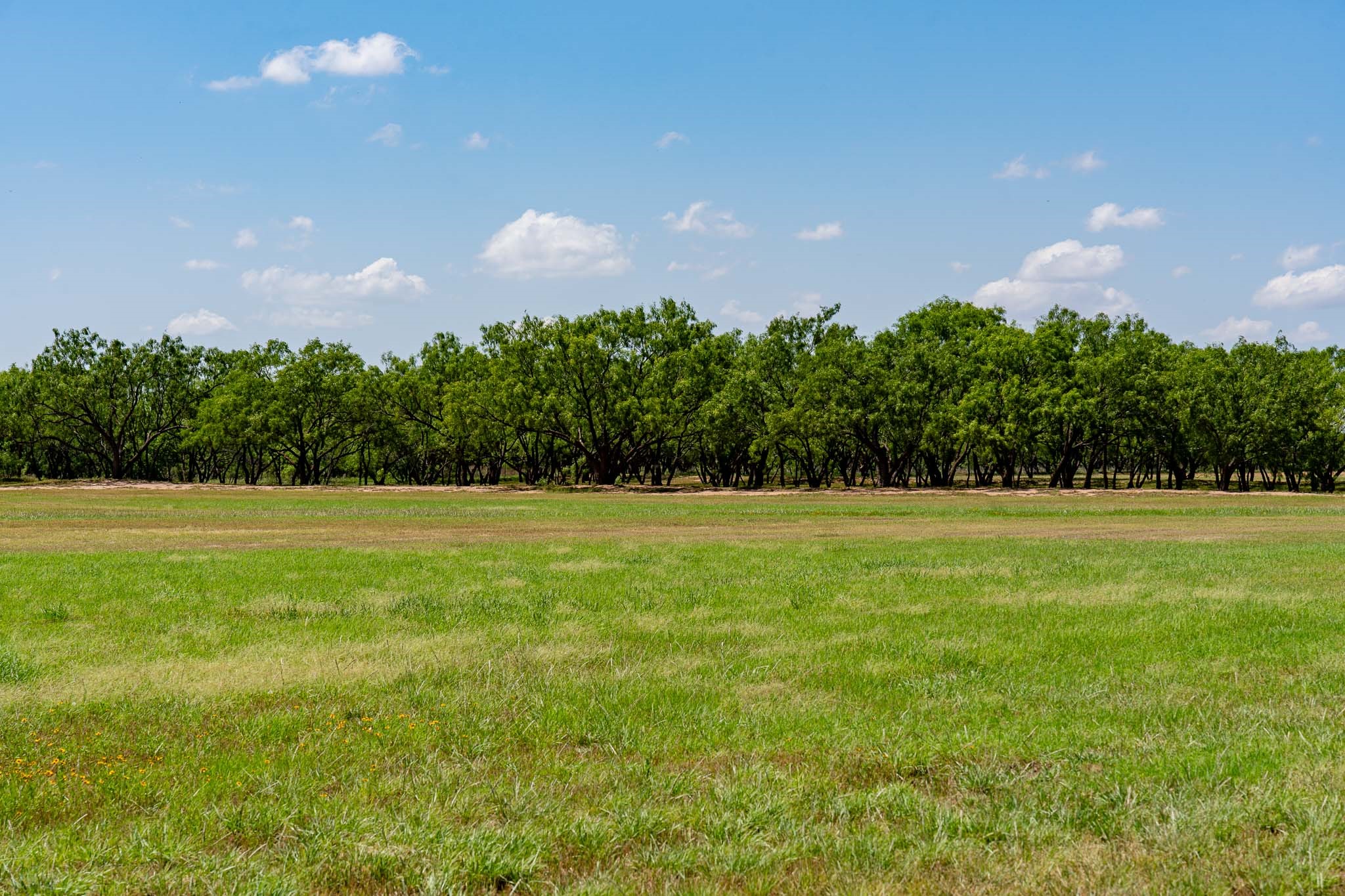 4946 County Road 410 Hawley TX 79525
