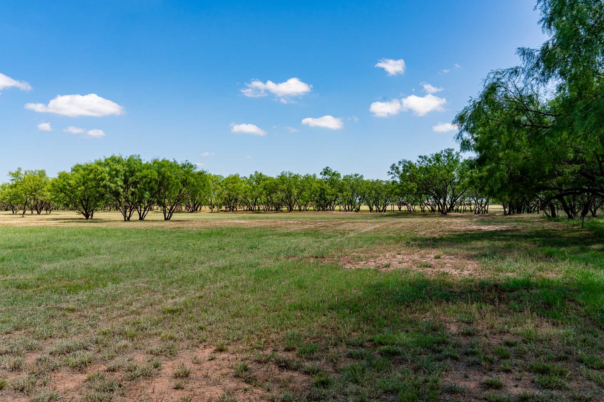 4946 County Road 410 Hawley TX 79525