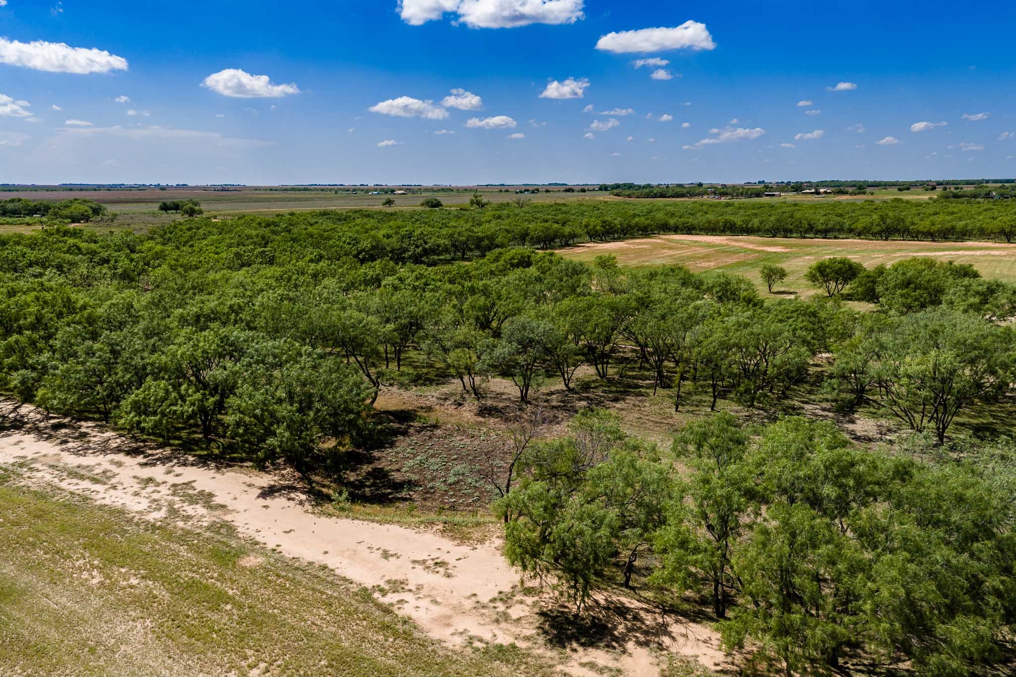4946 County Road 410 Hawley TX 79525