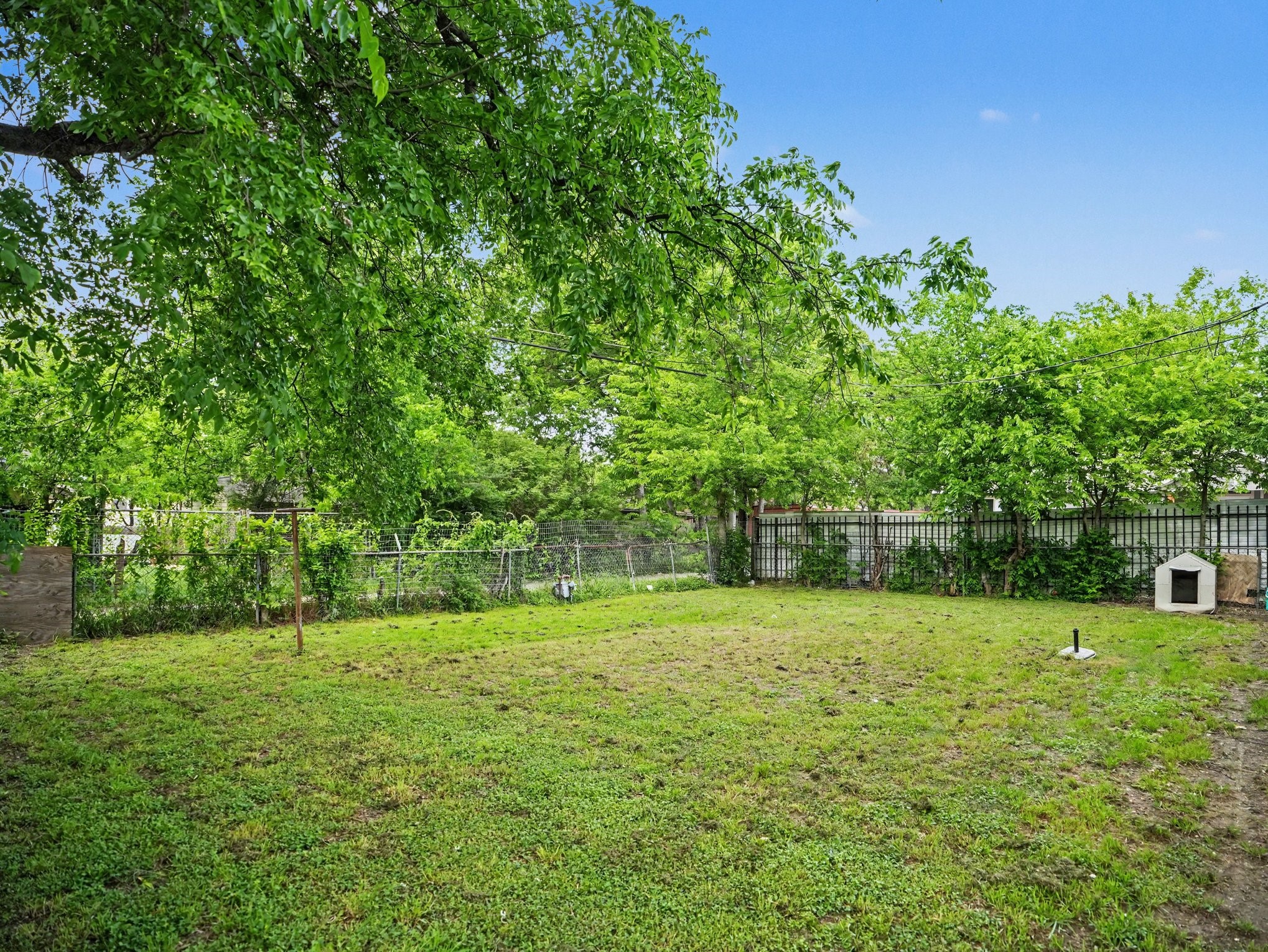227 Halsey Street Dallas TX 75224