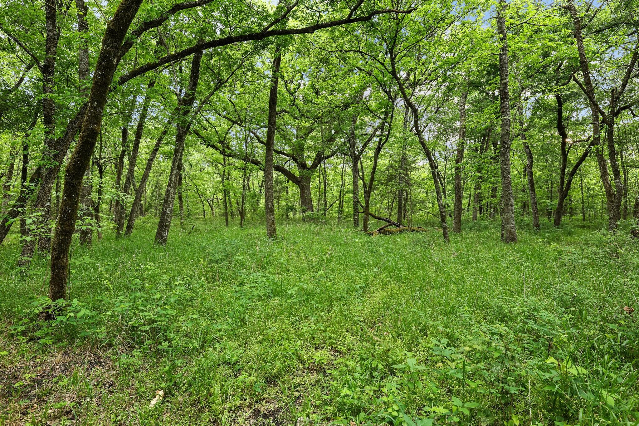 2628 County Road 2510 Quinlan TX 75474
