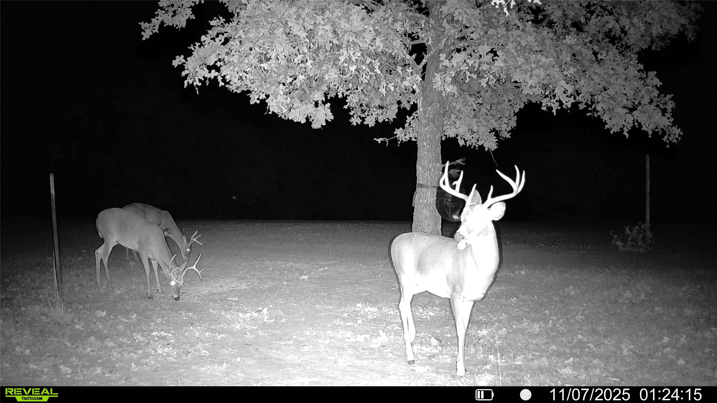 2628 County Road 2510 Quinlan TX 75474