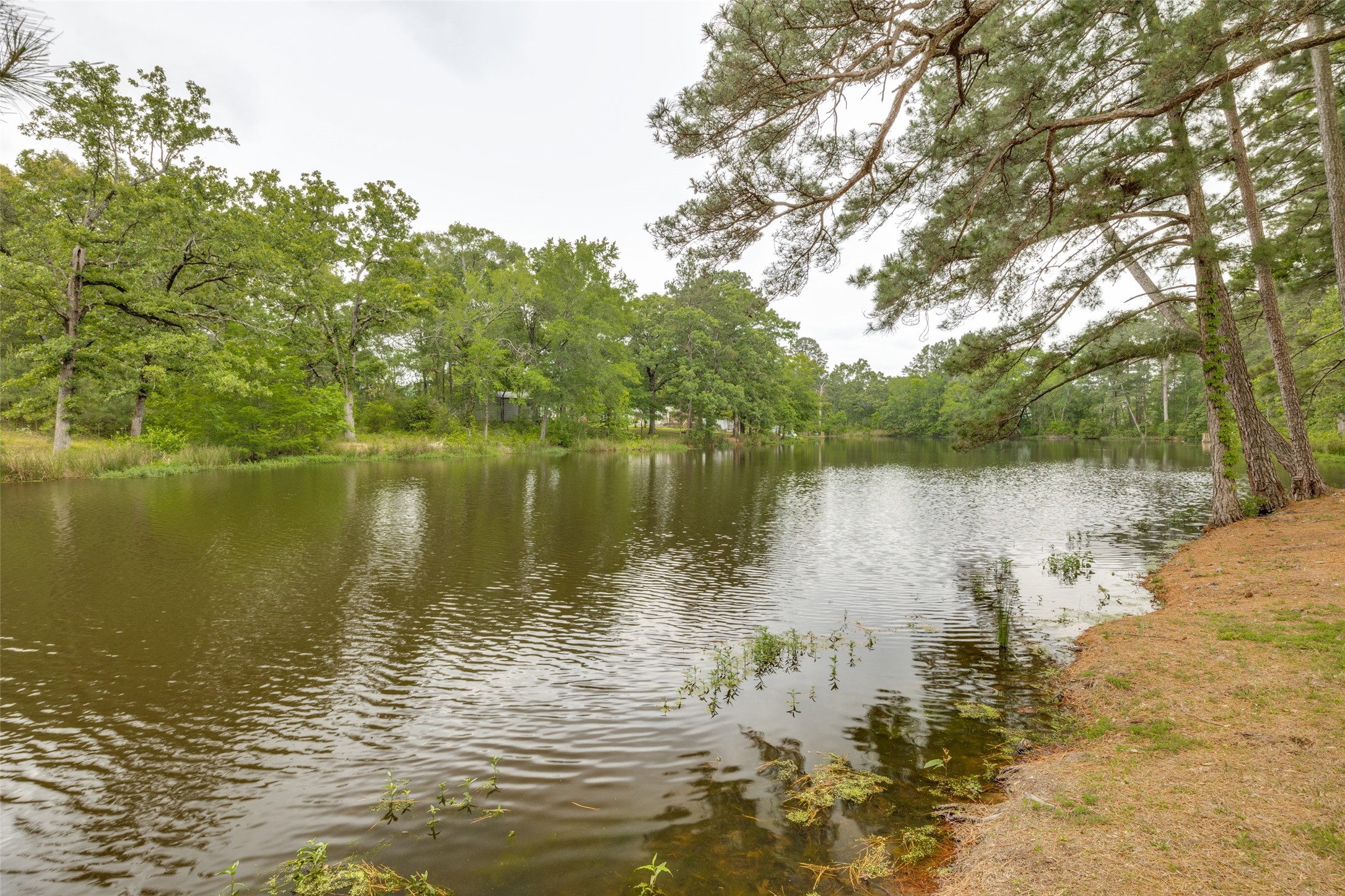 388 County Road 2146 Quitman TX 75783