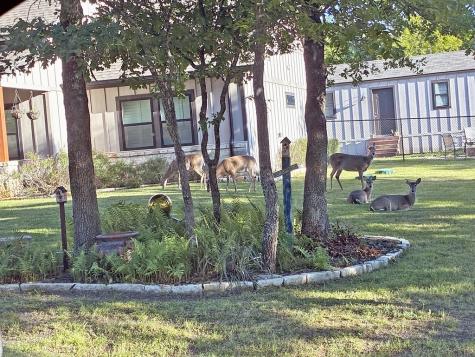 3347 Sabine Street Athens TX 75752