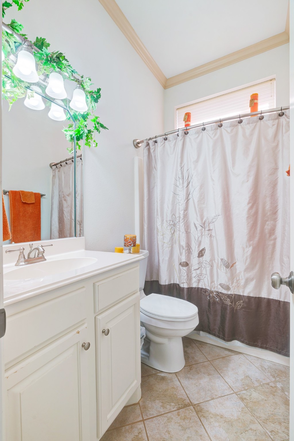 283 Butternut Lane Powderly TX 75473