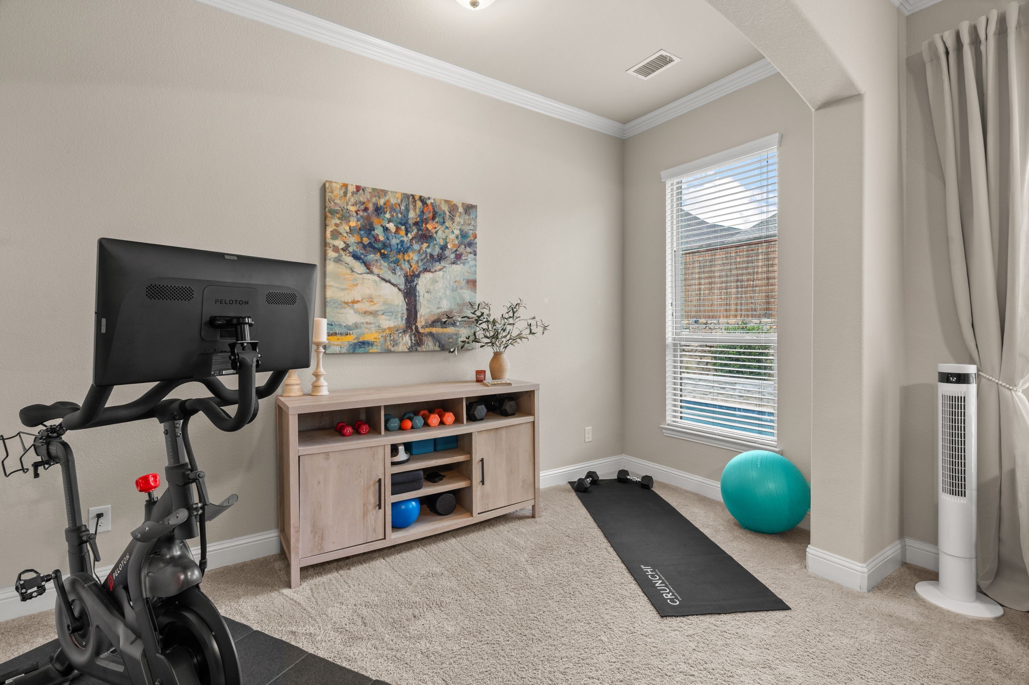 9409 Blackpine Court Lantana TX 76226