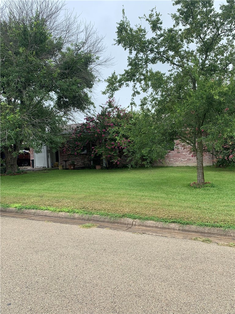 113 Willow Lane Gatesville TX 76528