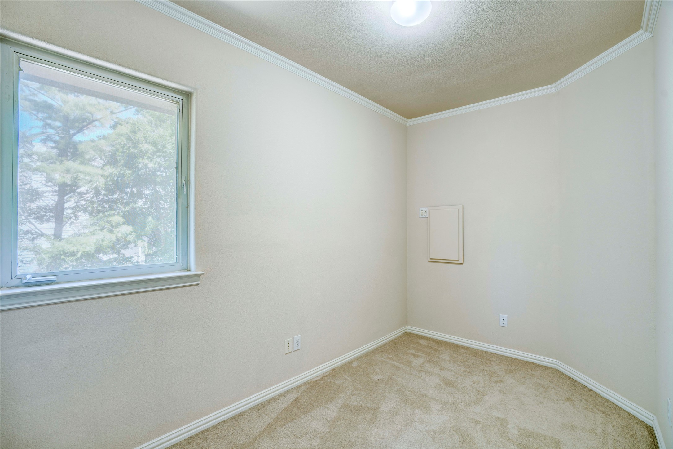 1132 Mallard Pointe Drive Grand Prairie TX 75104