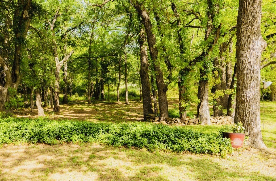 726 County Road 463 Eastland TX 76448