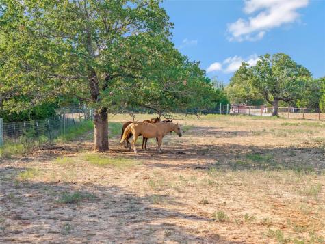 10537 Lone Star Road Weatherford TX 76088