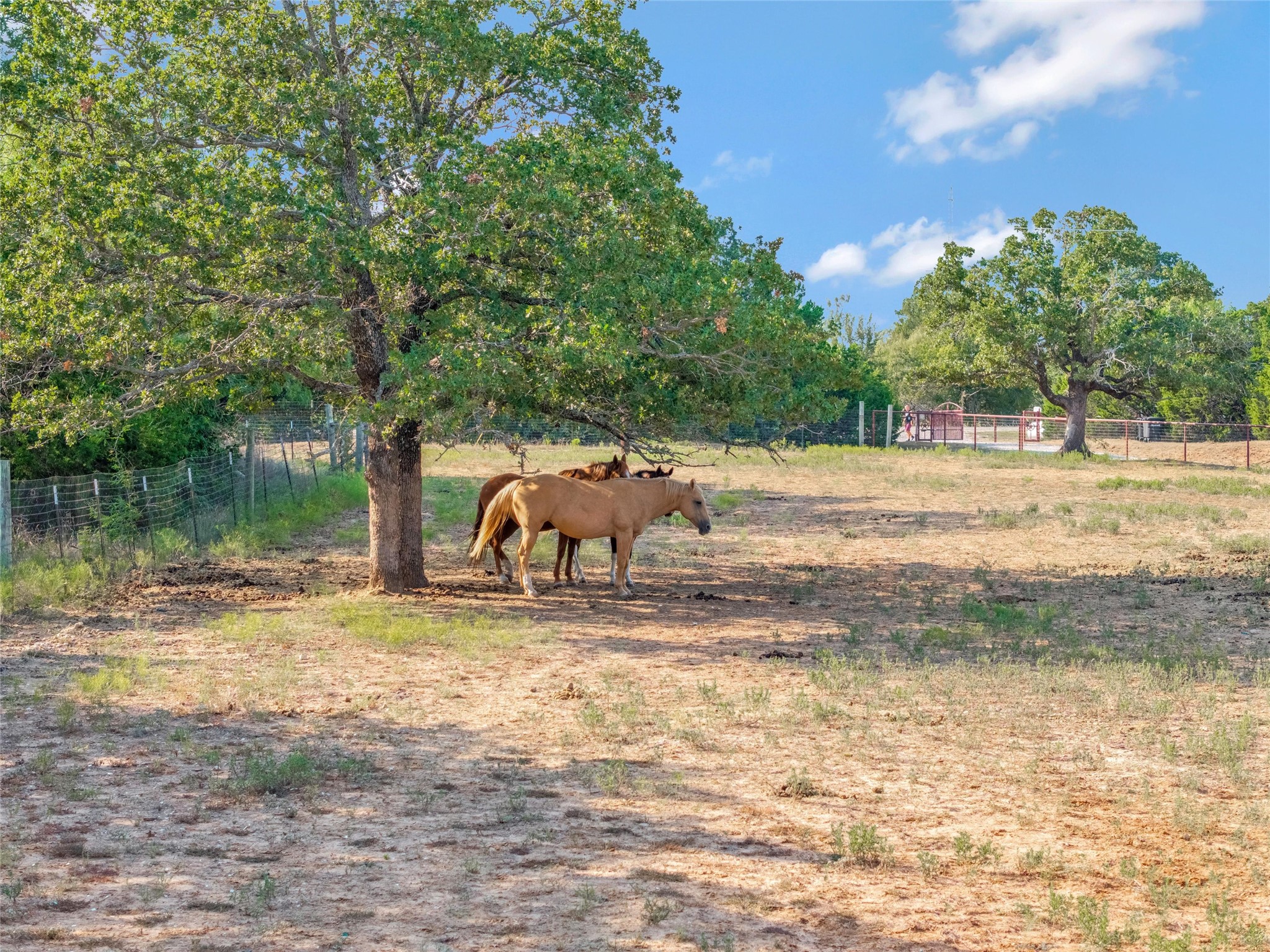 10537 Lone Star Road Weatherford TX 76088