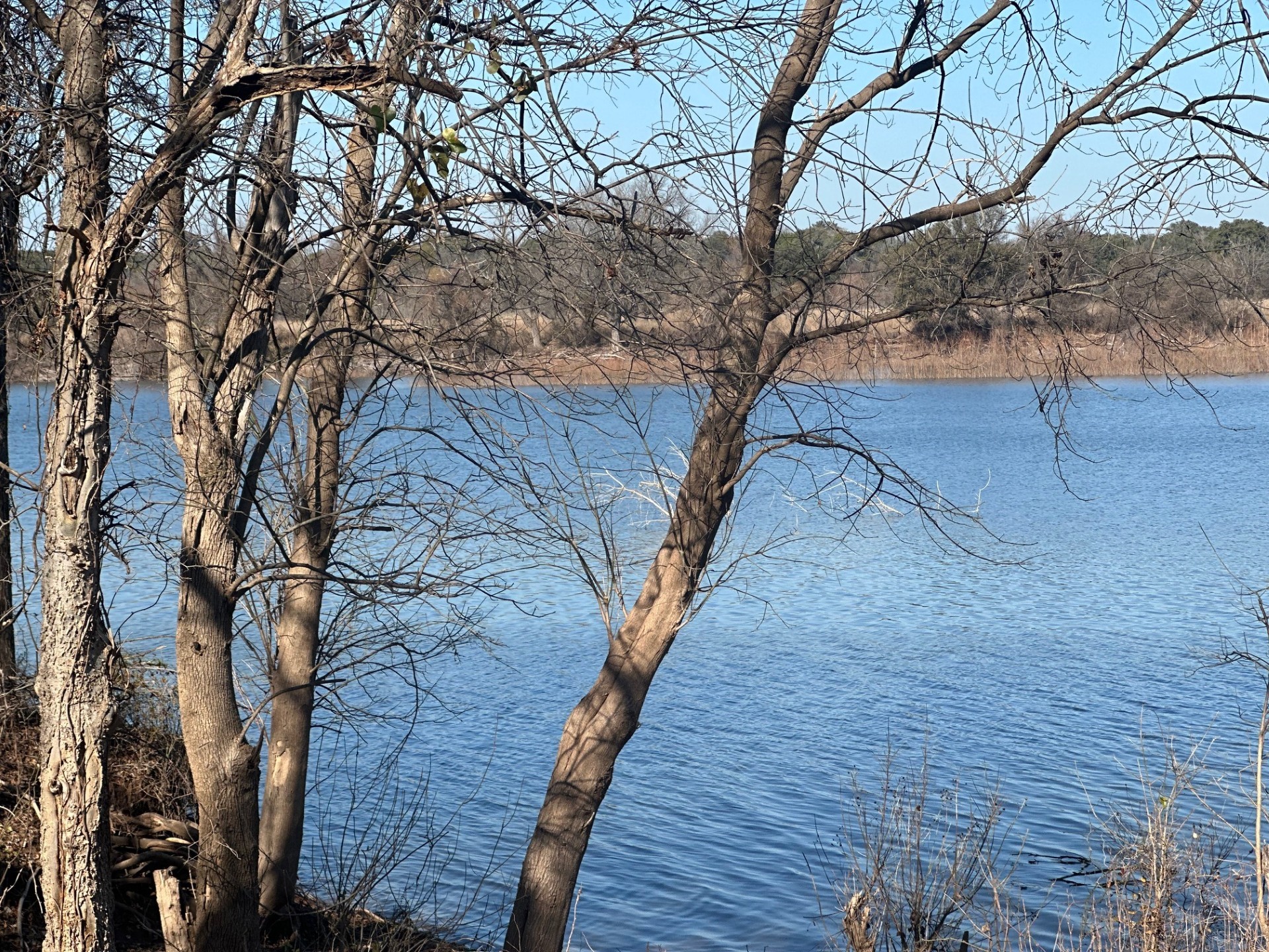 146 Owl Hollow Road Blum TX 76627