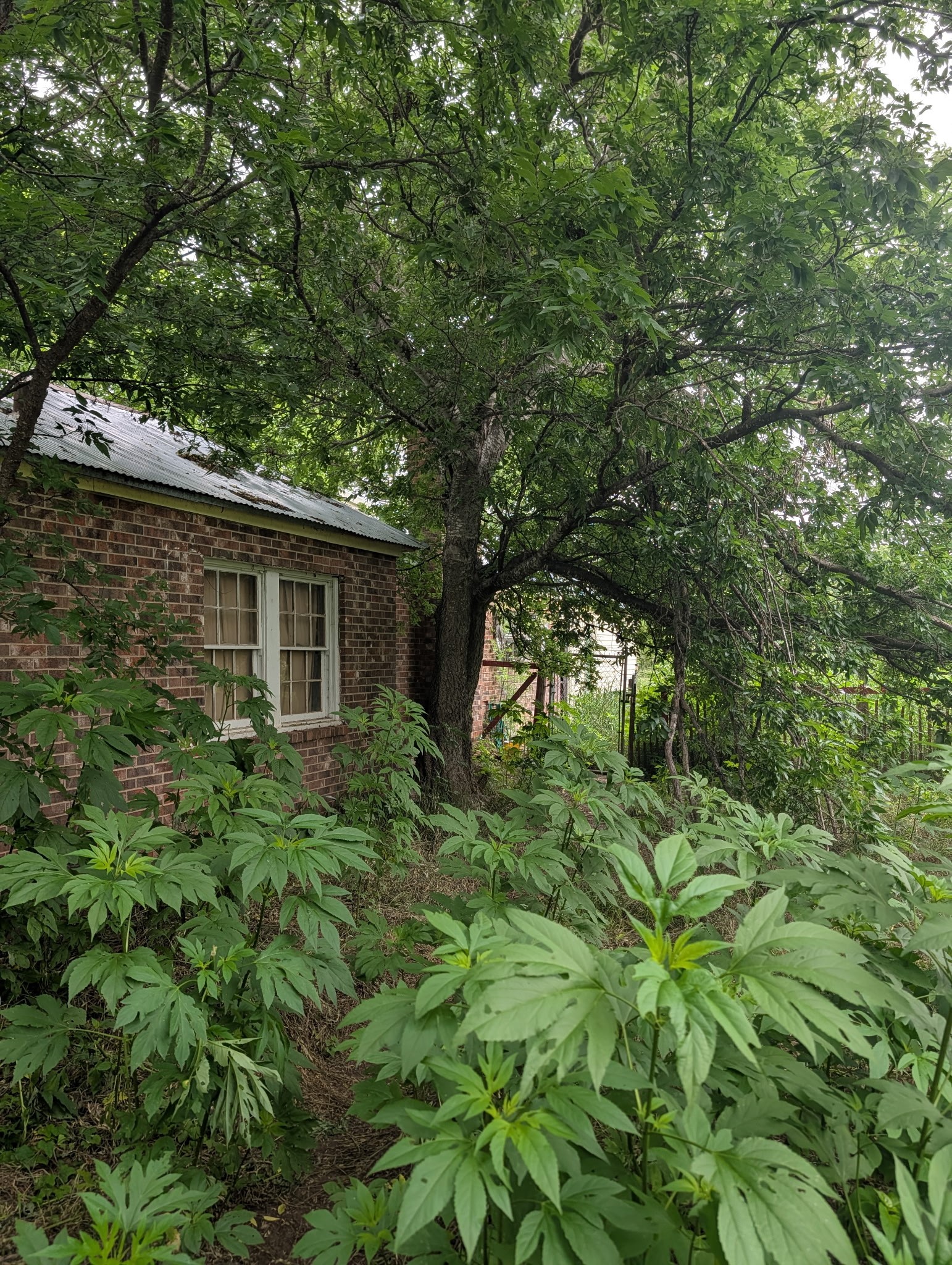 602 Avenue H Blanket TX 76432