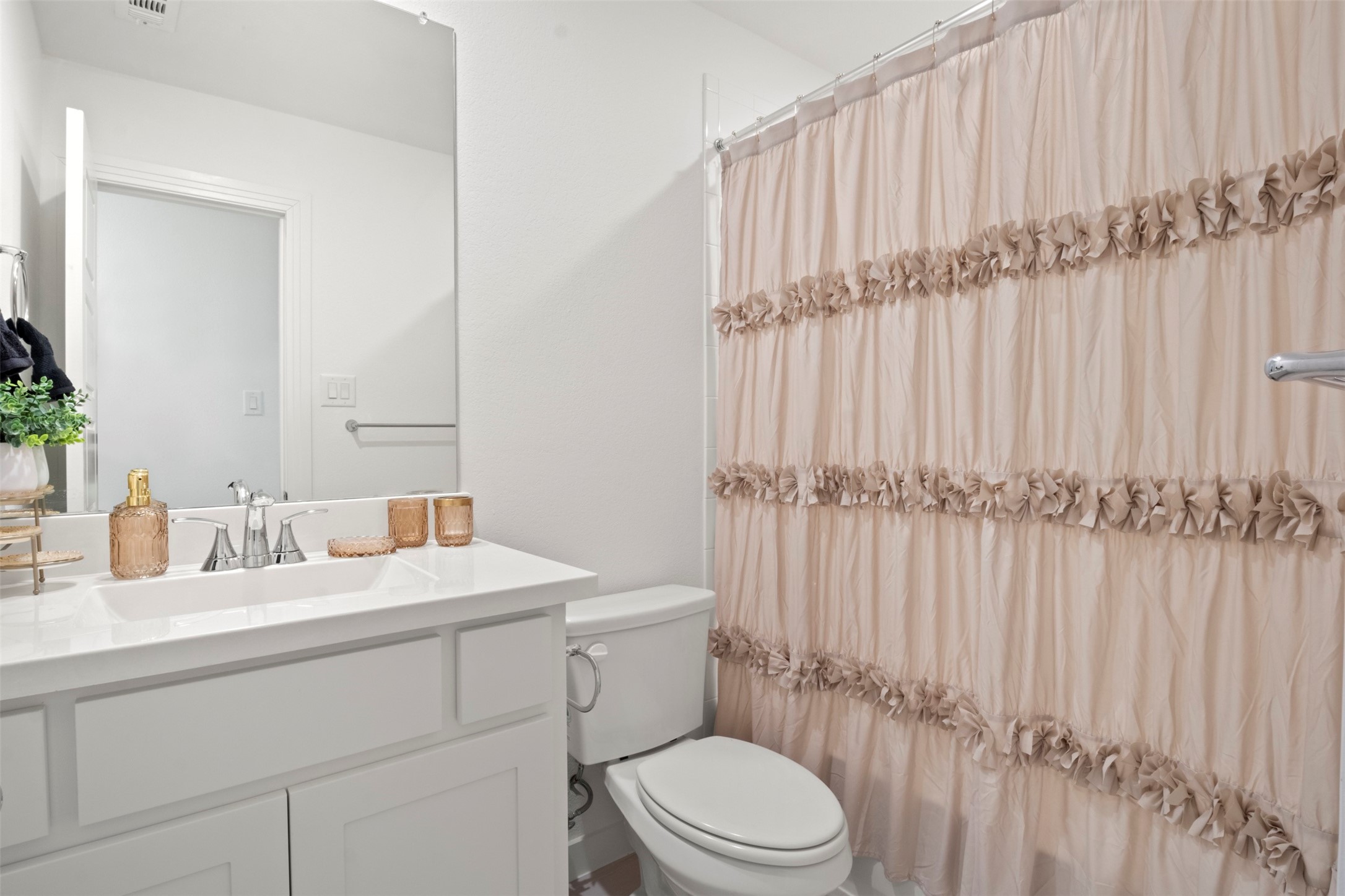 1909 Prickly Poppy Court Aubrey TX 76227