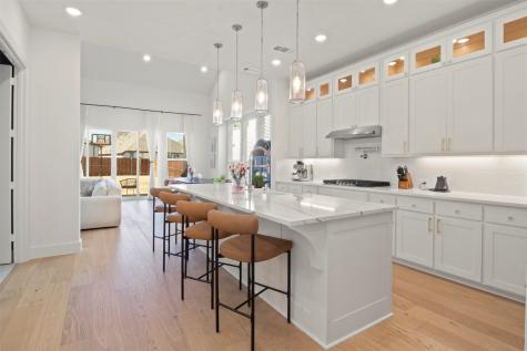 1909 Prickly Poppy Court Aubrey TX 76227