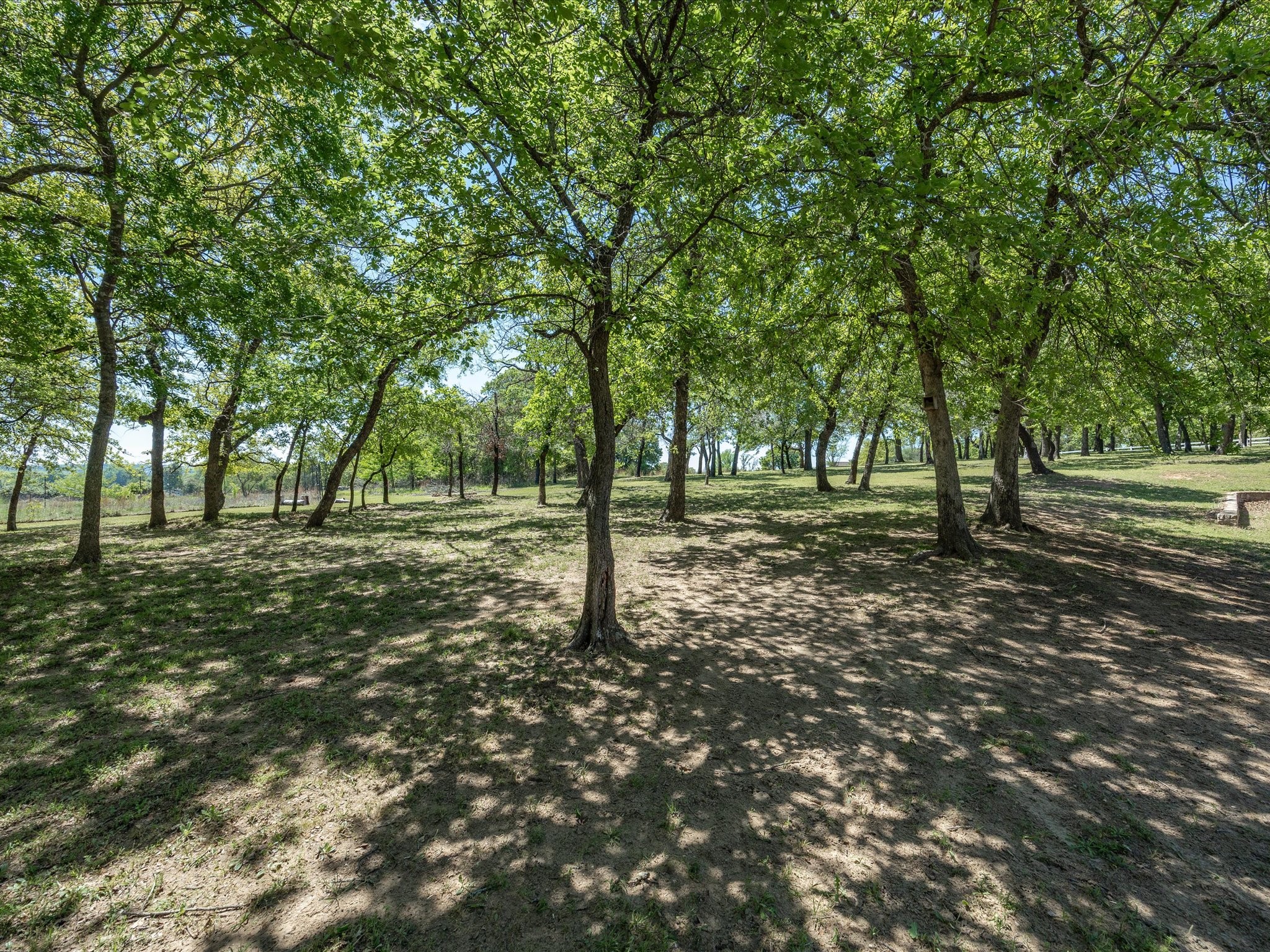 104 Lariat Court Azle TX 76020