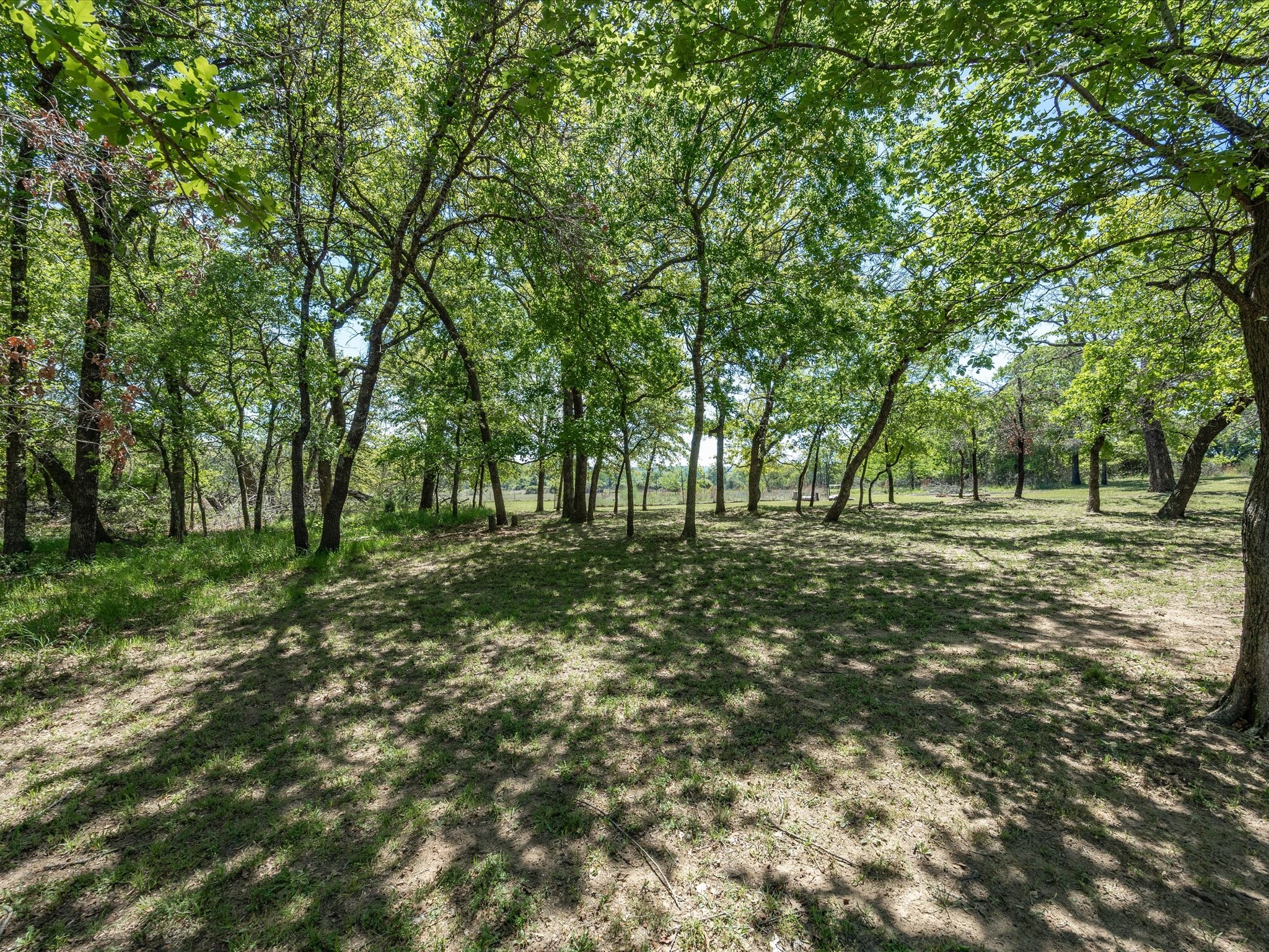 104 Lariat Court Azle TX 76020
