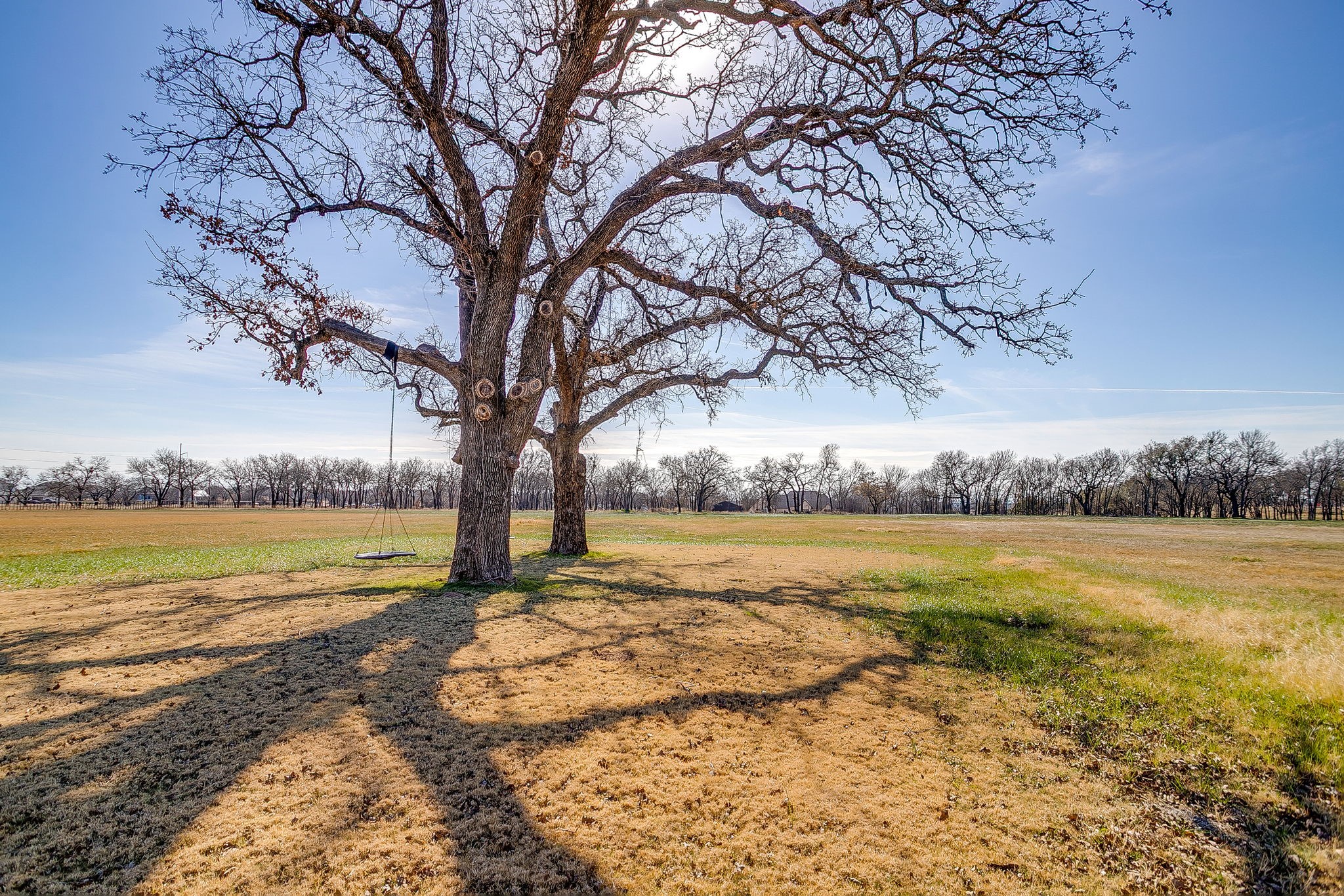 553 Royal Santana Run Weatherford TX 76087