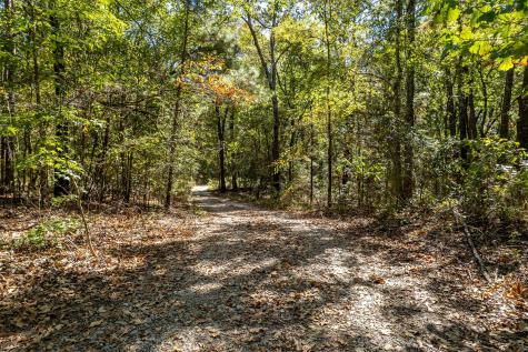 2026 Cr 3234 Quitman TX 75783