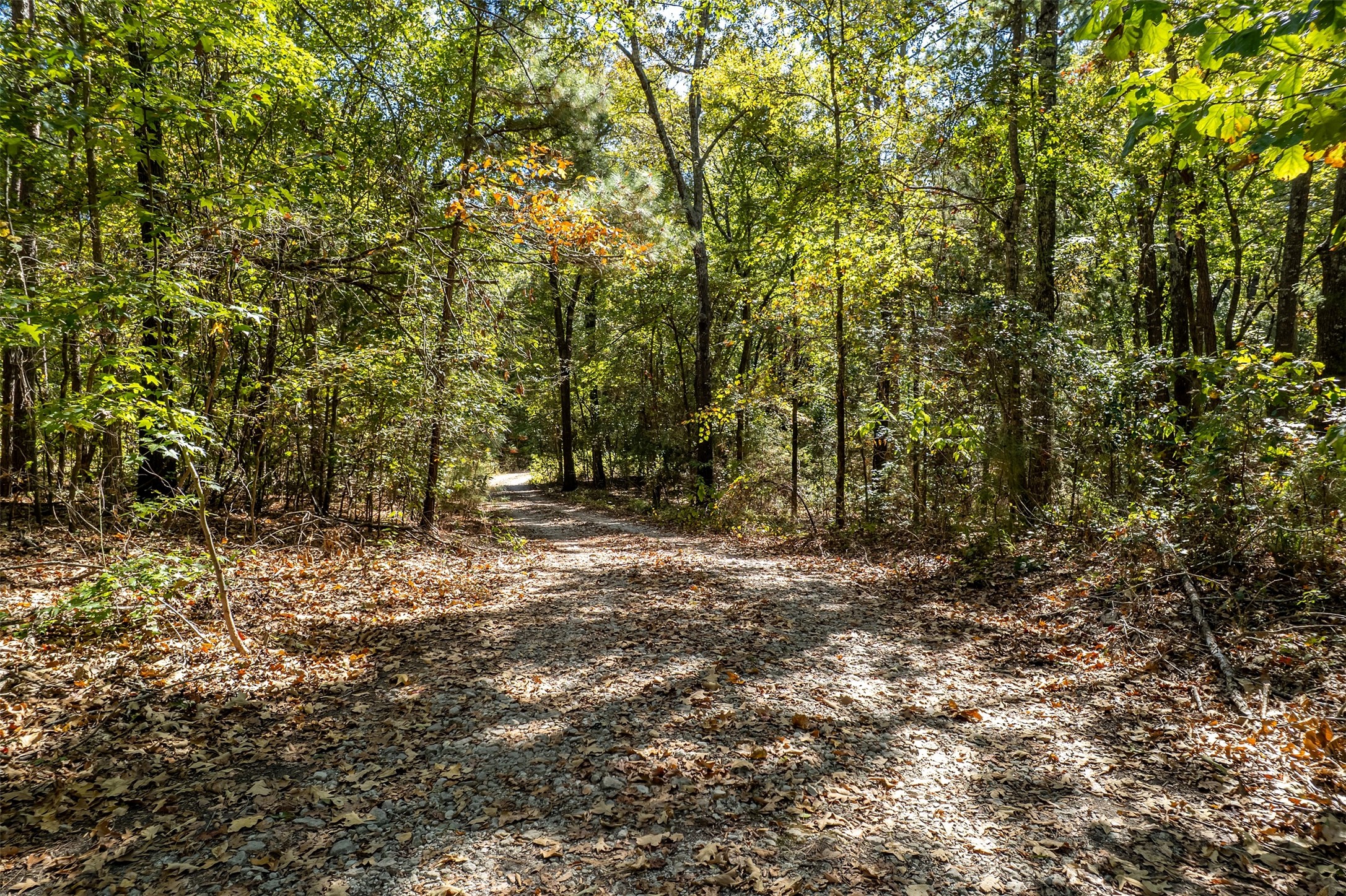 2026 Cr 3234 Quitman TX 75783