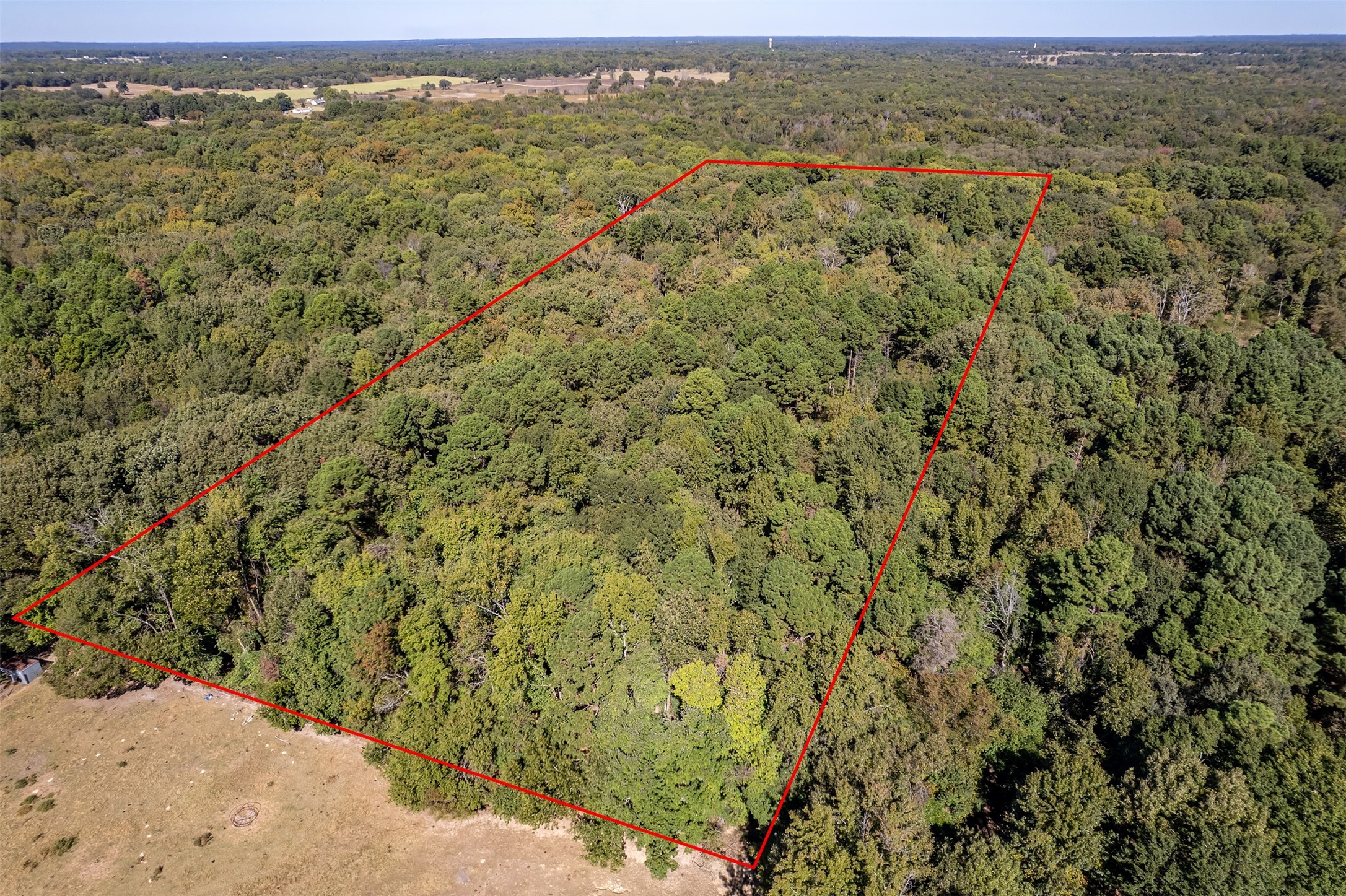 2026 Cr 3234 Quitman TX 75783