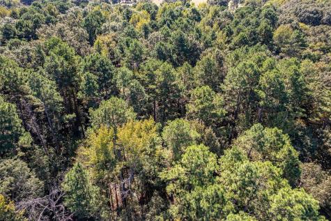 2026 Cr 3234 Quitman TX 75783