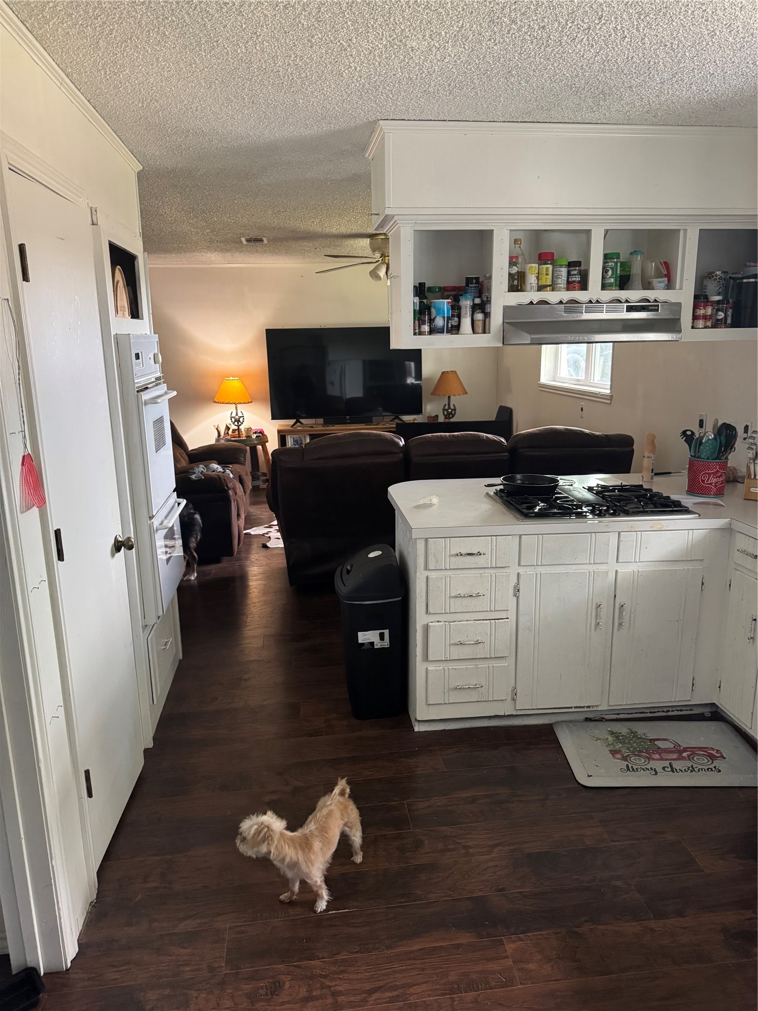 102 N Cedar Street Celeste TX 75423
