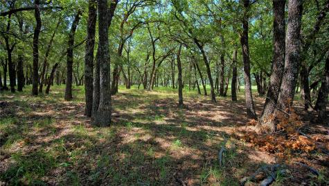 8752 Fm 1749 Sunset TX 76270