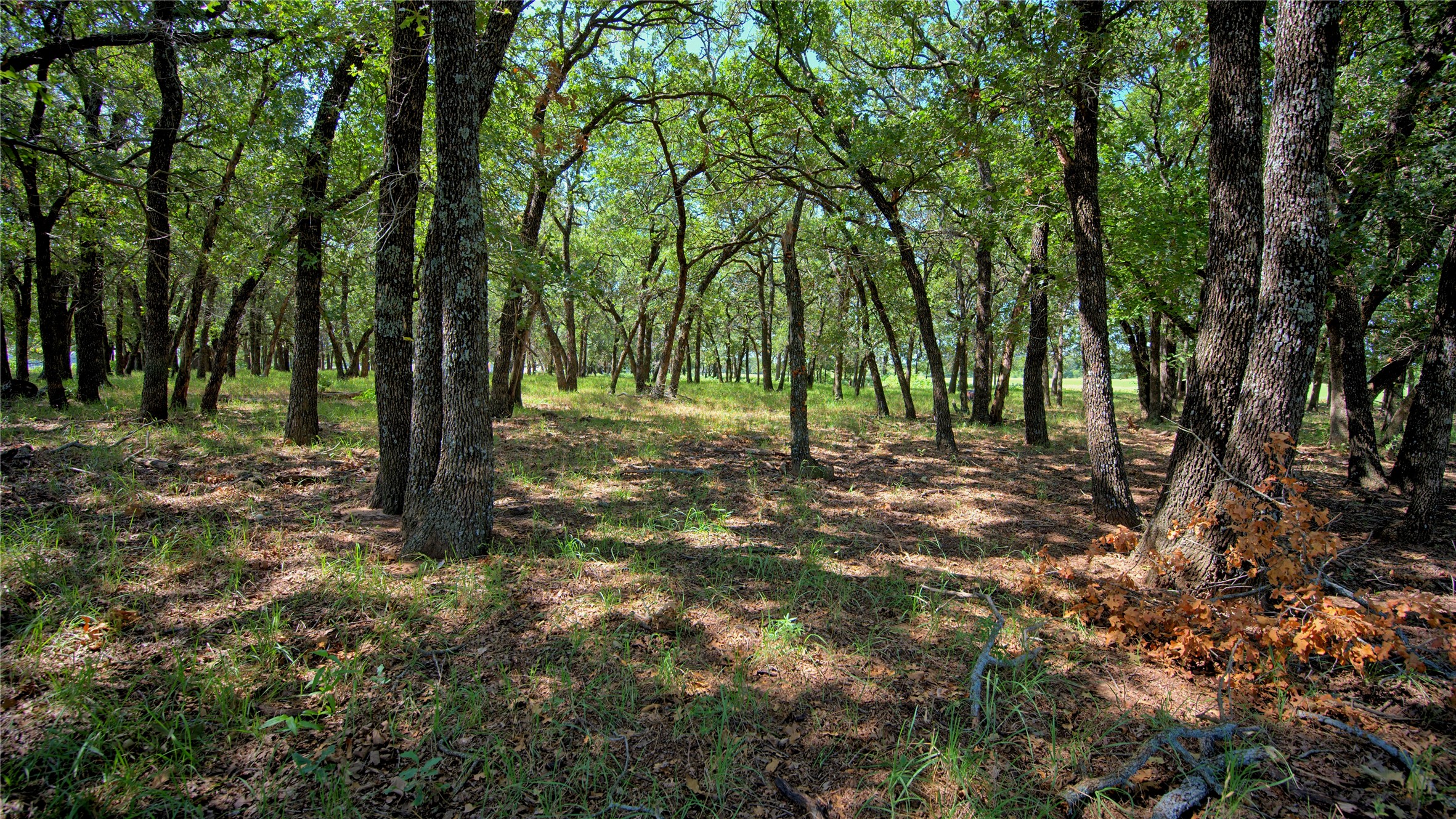 8752 Fm 1749 Sunset TX 76270