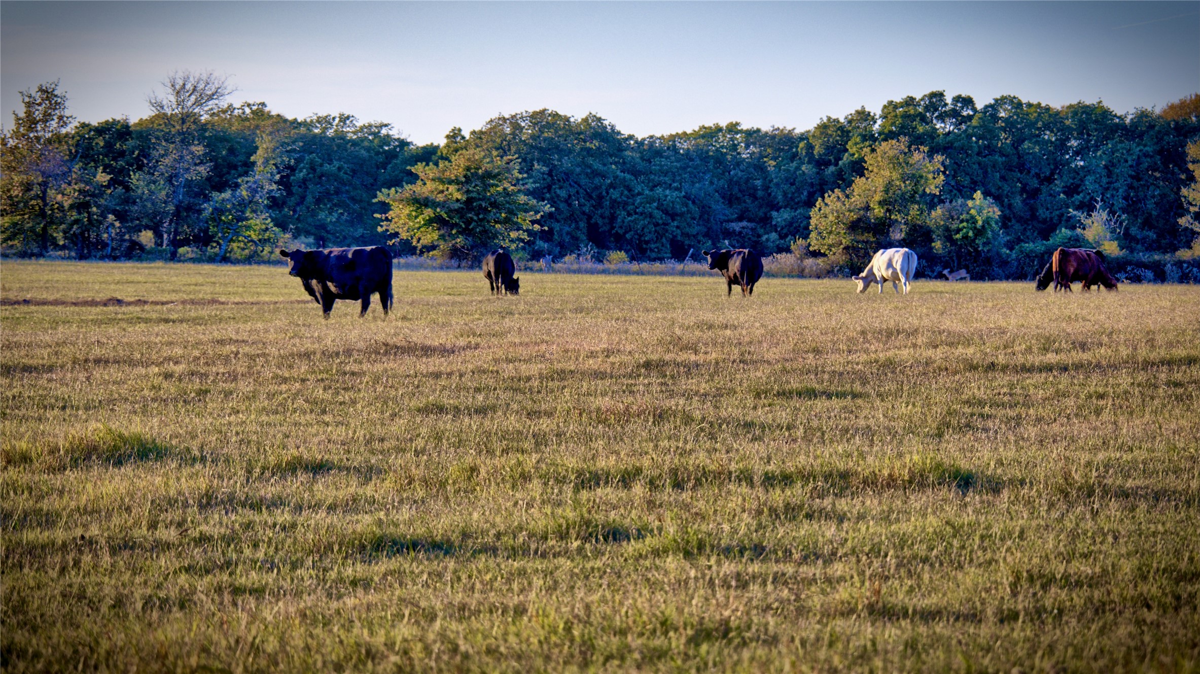 8752 Fm 1749 Sunset TX 76270