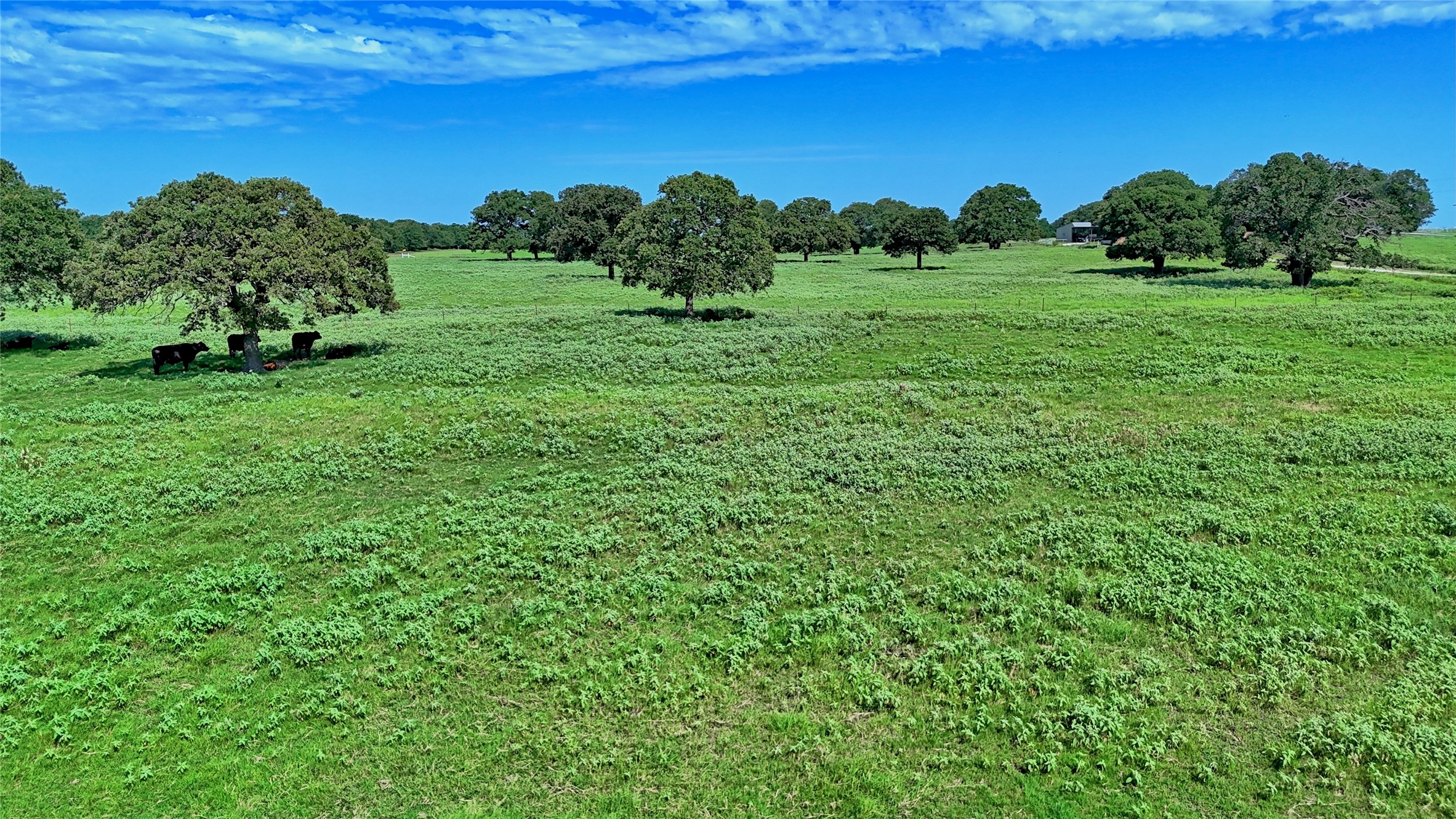 8752 Fm 1749 Sunset TX 76270