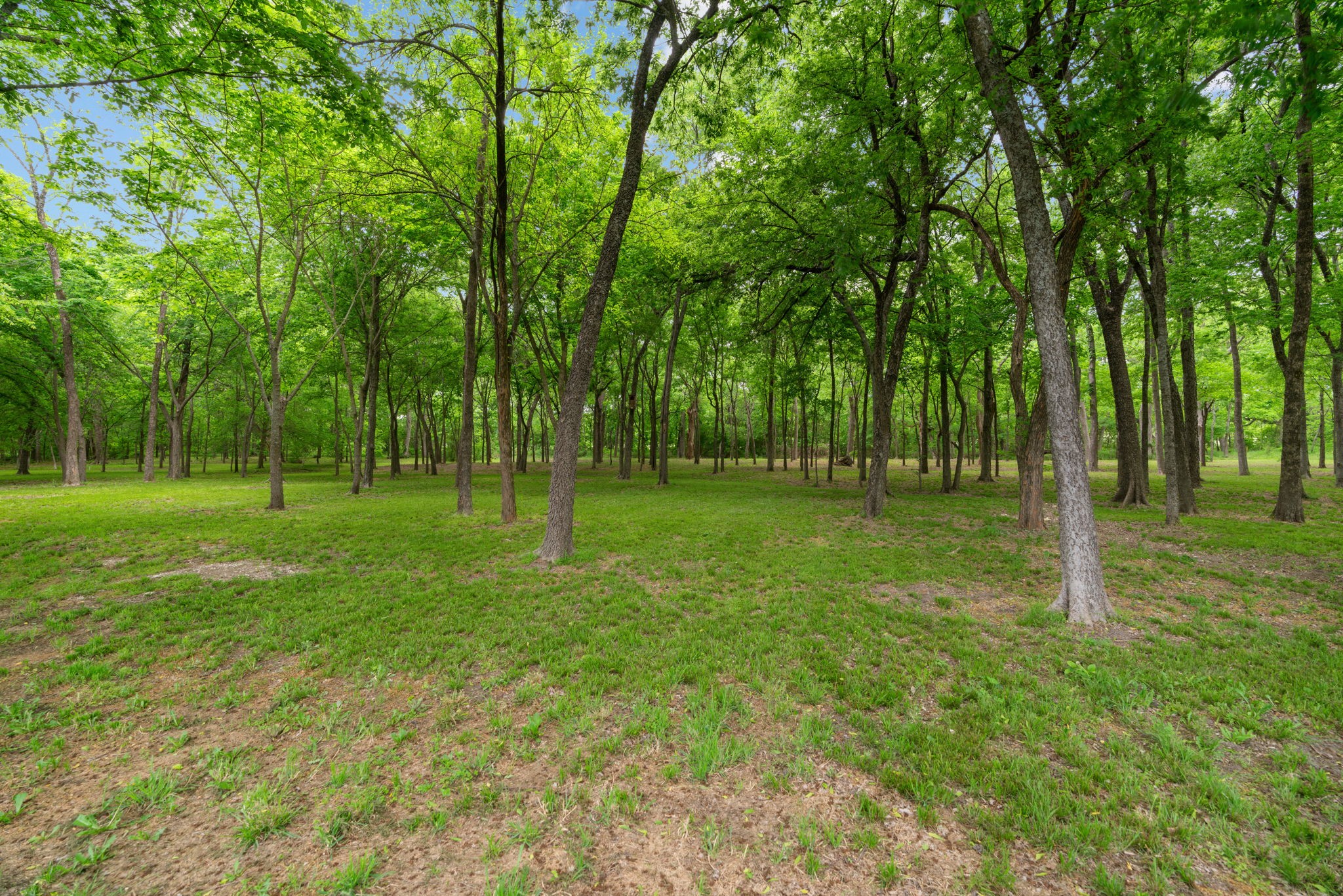 2225 Creek Canyon Lane Mckinney TX 75071