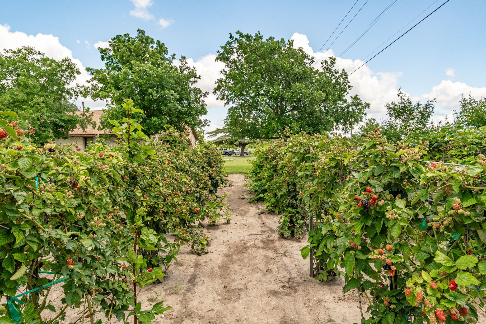 2036 County Road 242 Dublin TX 76446