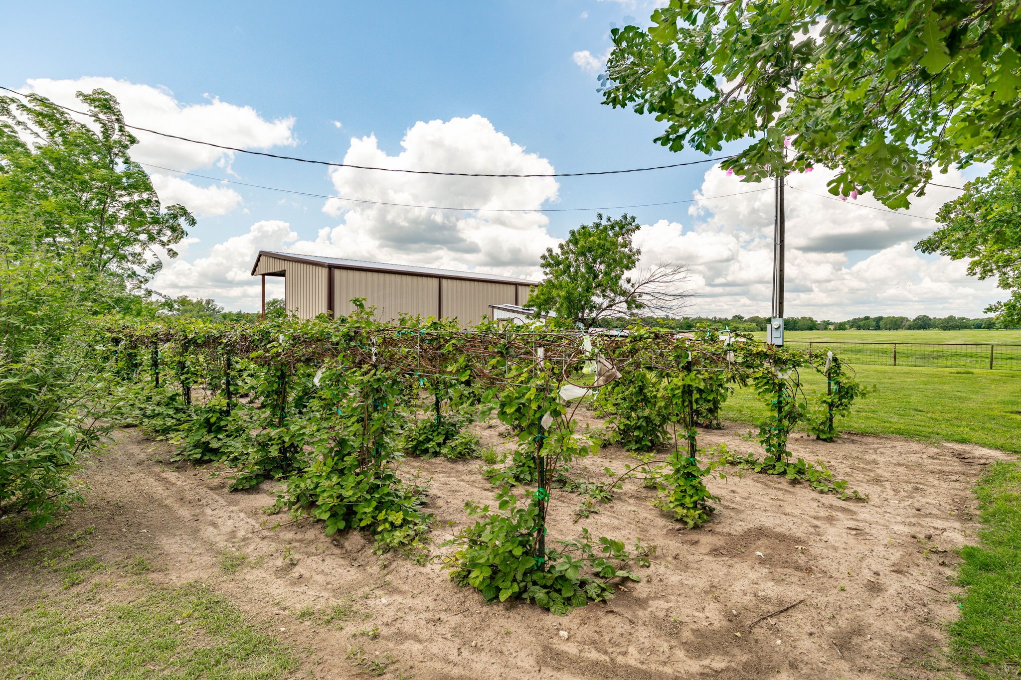 2036 County Road 242 Dublin TX 76446