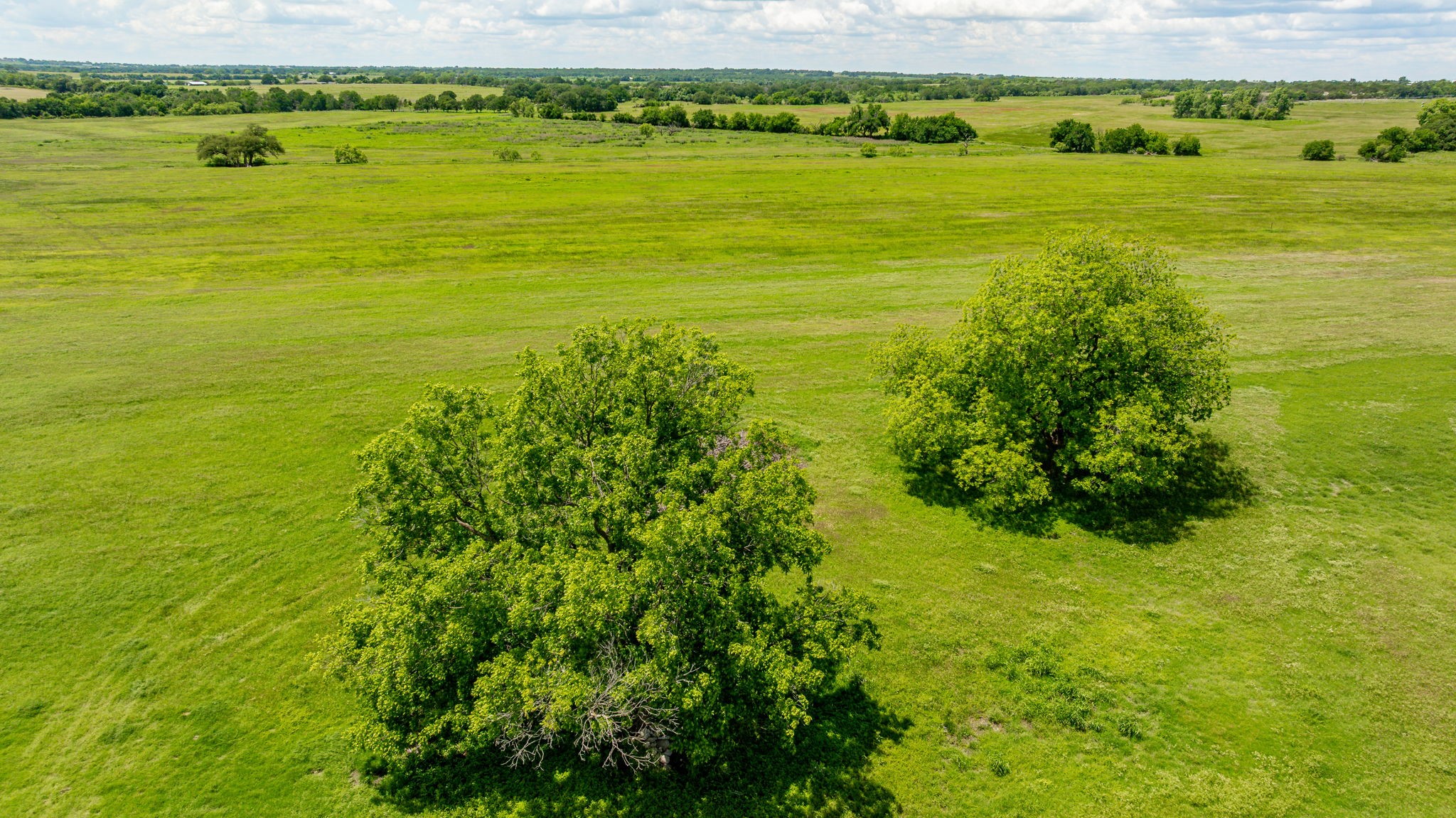 2036 County Road 242 Dublin TX 76446