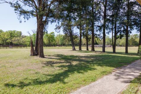 411 County Road 4313 Ben Wheeler TX 75754